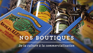 Nos boutiques : de la culture à la commercialisation