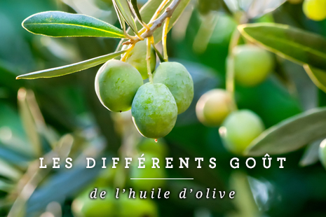 Les différents  goût de l'huile d'olive