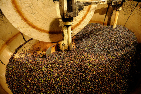 Moulin broyant des olives